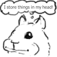 squirrel explains: I store things in my head!