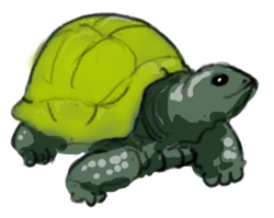 tortoise is slow